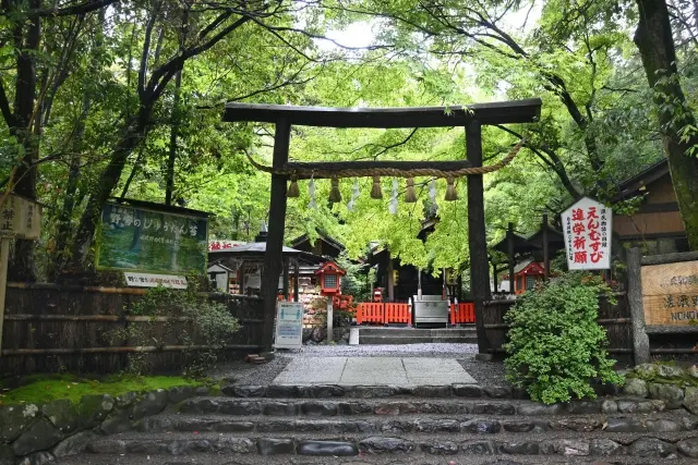 野宮神社の黒木の鳥居と竹林の小道