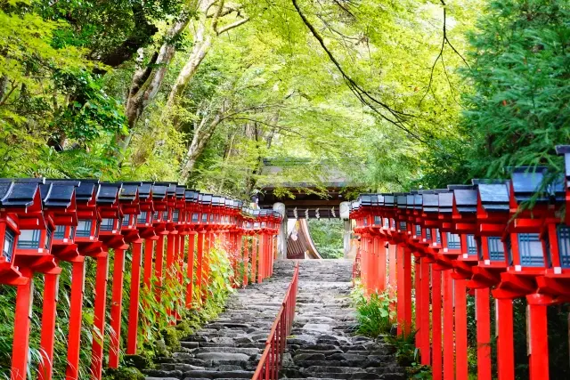 貴船神社の石段参道と赤い灯籠、新緑に包まれた境内風景