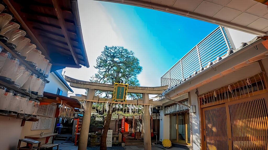 市比賣神社の境内に立つ鳥居とご神木、女性守護の神社の風景